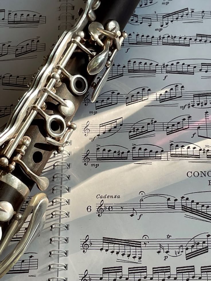 вокал (30мин)  (м. Бл. Дм. Донского)