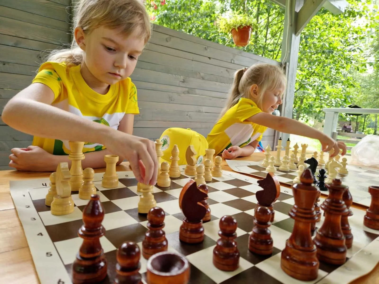 Шахматы (средняя группа)