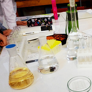 Летняя профориентационная школа