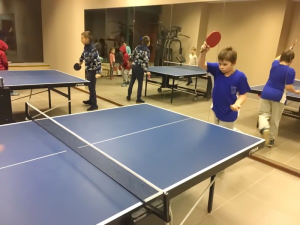 Настольный теннис