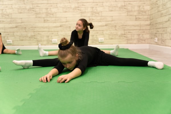 Подготовительная группа по гимнастике