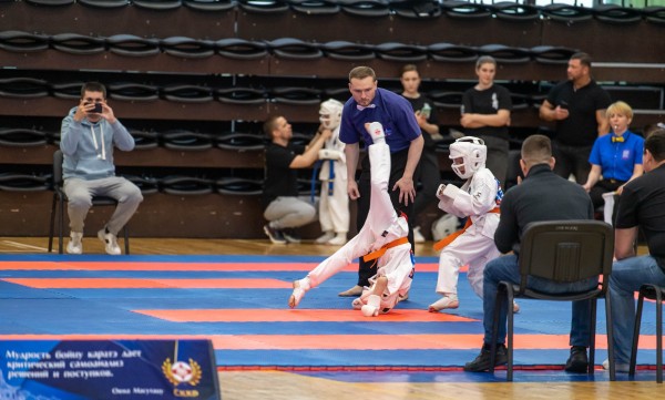 Карате Киокушинкай