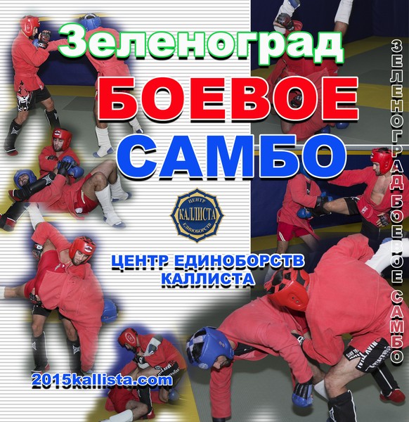Боевое самбо (Зеленоград)