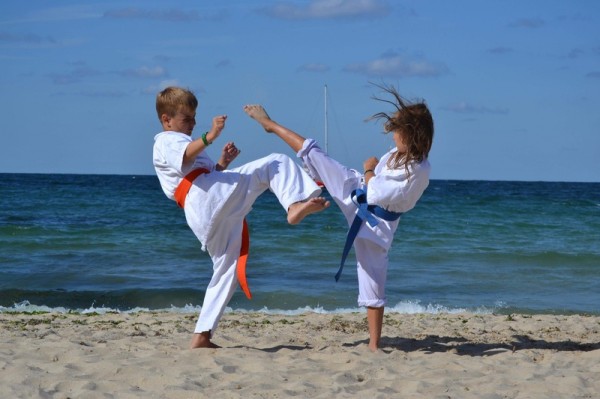 Карате-кекусинкай