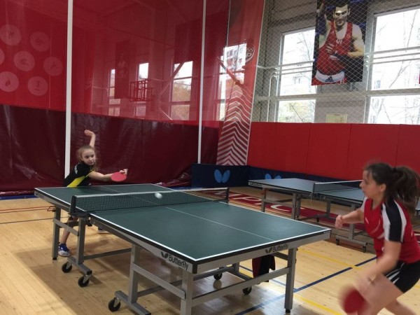 Настольный теннис