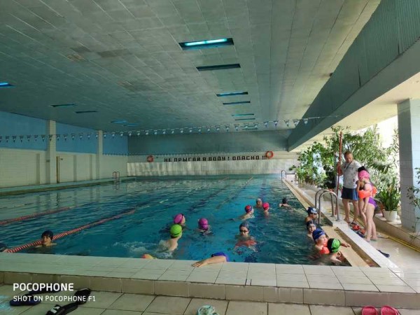 Групповые тренировки по плаванию