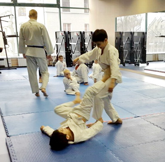 Джиу-джитсу