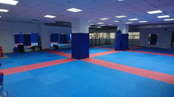 Российский центр капоэйры, Бибирево