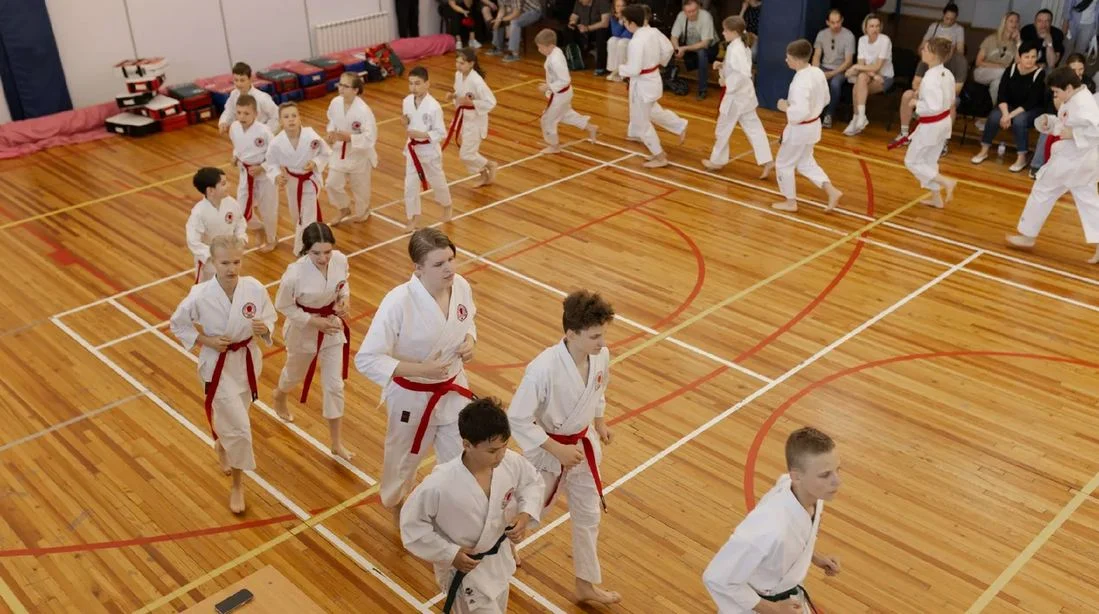 Смешанные единоборства