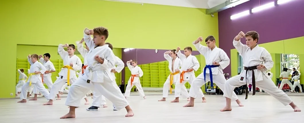 Карате, Киокусинкай