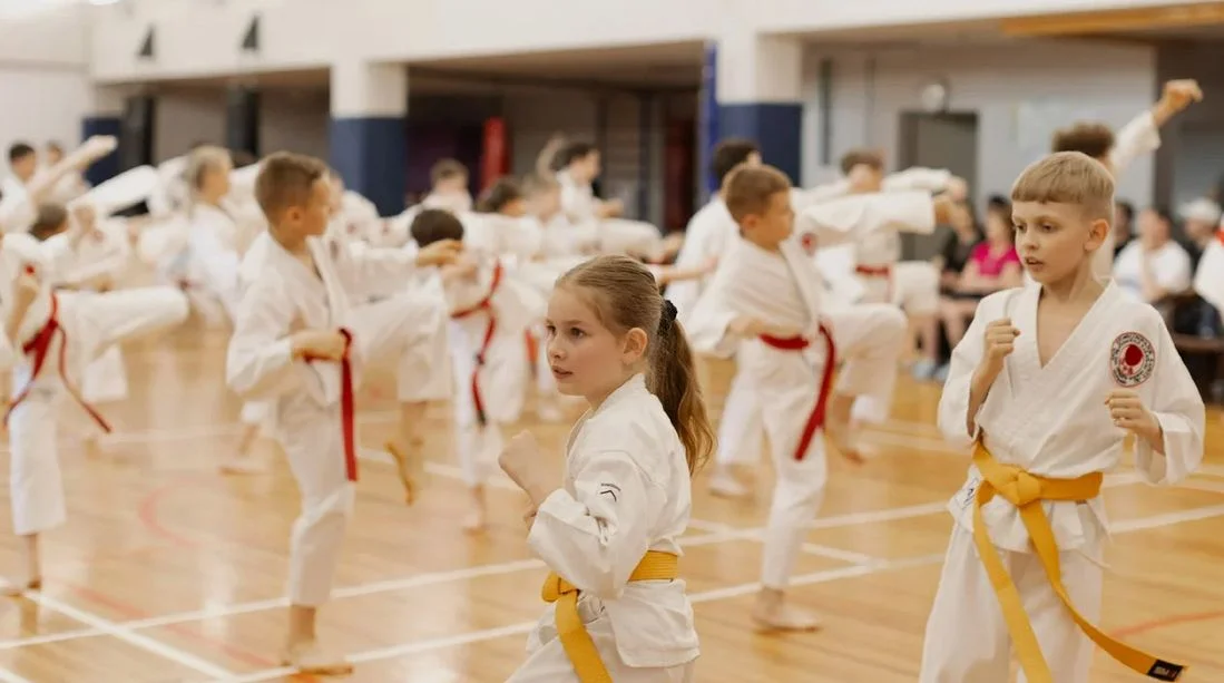 Дзаншин - клуб восточных единоборств для детей