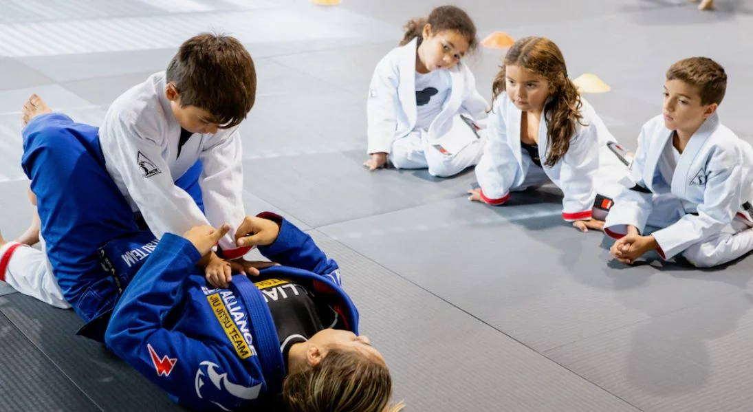 Джиу-Джитсу